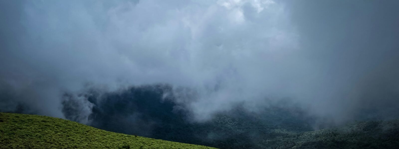 Coorg